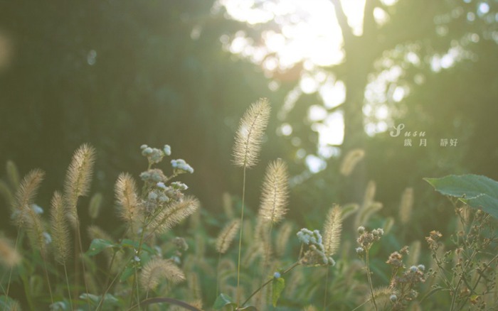 自強不息，不負青春，不負紫光