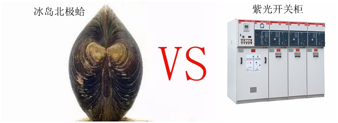 論長壽只服冰島北極蛤，選高壓開關(guān)柜認(rèn)準(zhǔn)紫光電氣