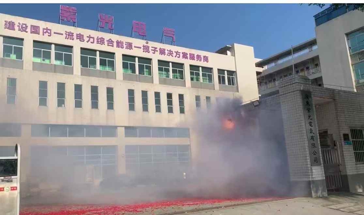 廣東紫光電氣有限公司2025年開工大吉1